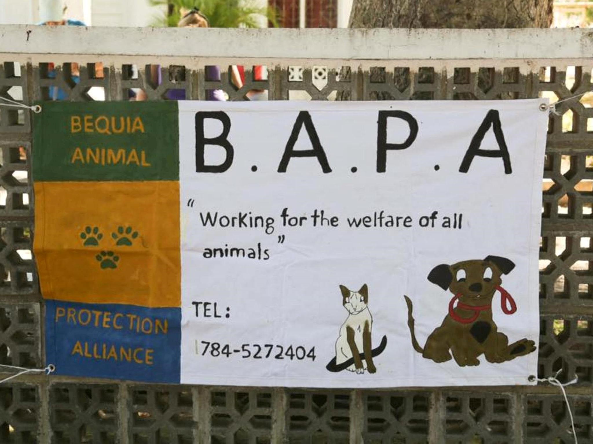 BAPA